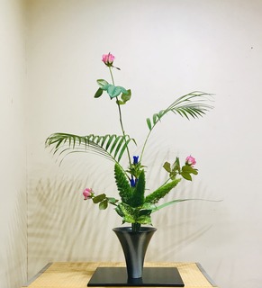 8856BD6F-11F1-4D2F-870F-6447914EC1E1.jpeg