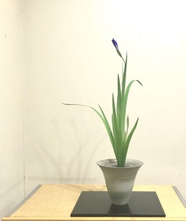 88958239-0FF4-469F-89A8-774C5DB21358.jpeg