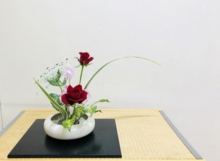 8C72158A-4A4A-49BC-8B23-348C2EEDA604.jpeg