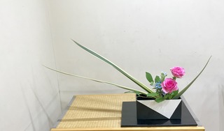 8CB24C57-8D56-4526-B517-0EAB534213DF.jpeg