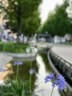 92F9B460-297A-49E8-BACB-116F7FD04ED6.jpeg