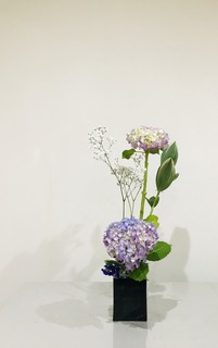 94536DAA-6FE2-4D22-93F2-4736725721ED.jpeg