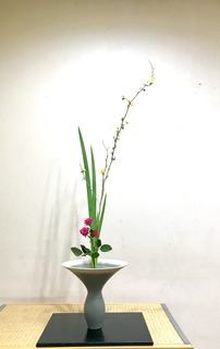 9568881E-1016-4AF2-93EA-64F2A8A02B2E.jpeg