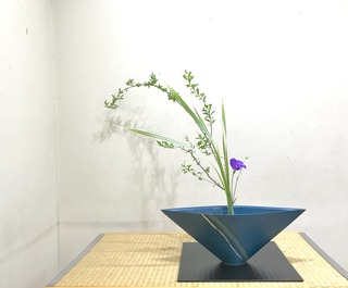 96401AFF-FE25-4716-9CB6-48A9FF028CDB.jpeg