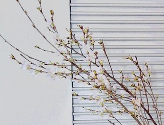9D9596DD-54A9-4EE3-8F8F-A7F85B54D846.jpeg