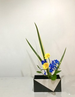9E8CC019-85FE-46EC-A2D8-803B8805B04C.jpeg