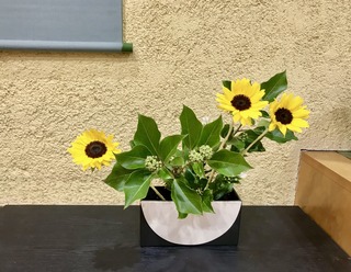 9F948E34-745F-4179-8963-1C68F0196C4B.jpeg