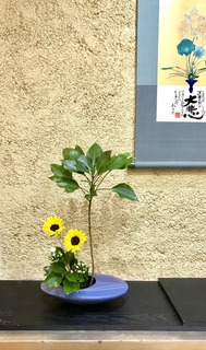 A3FBEA4E-C074-4F11-B411-B0D6402858B6.jpeg