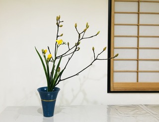 A45EF739-2EC8-4F84-98C2-0F927F3FC14E.jpeg