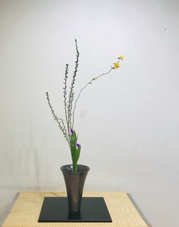 A5EDA803-03B4-4947-9B0B-B95776E7C746.jpeg