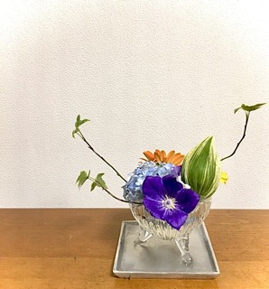 AEA753D7-9304-4441-B854-B16AA19A8922.jpeg
