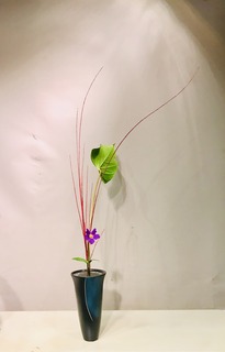 B6F5A0AA-8A62-426B-AEB9-6C12253D42D0.jpeg