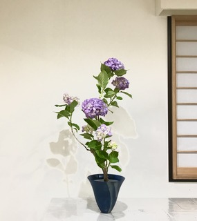 BD797F08-8BE1-49A2-BBD0-F5AE4766F4A7.jpeg