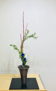 C0075DEC-853F-4530-A59E-91BC98CAFD65.jpeg