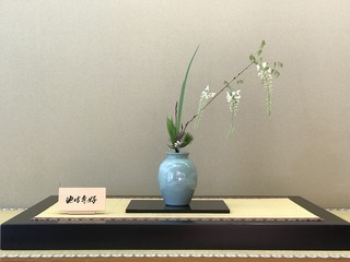 C19CF530-E795-46CC-8CB3-1E55F6C10B01.jpeg