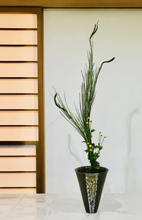 C696AA07-4F2F-4981-A086-4AB238A74355.jpeg