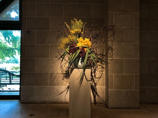 CA902DD7-BD5B-41BB-88FE-0904FA437240.jpeg