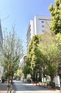 CC3C2CB3-5077-4BA9-8285-1911E9195CFE.jpeg