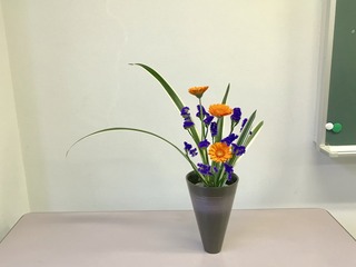 CE813781-75CD-404A-859E-E12E8324CBB4.jpeg