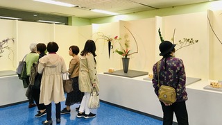 CE8B7F01-7073-4E9C-B891-E0EE3135D865.jpeg