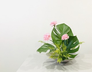 CFDCE963-E1ED-4528-8E10-C0AE7F2DC4C8.jpeg