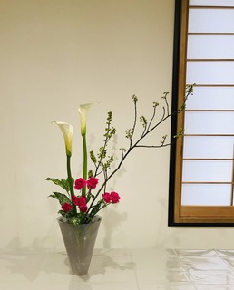 D3EE53B6-BABB-4916-905C-BE9AD400FD70.jpeg