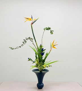 D4A3E30A-50F9-46CE-85FD-0151D7DC53A0.jpeg