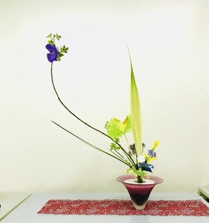 D6F9E806-BA4E-4612-8460-A68B01D89CB0.jpeg