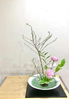 D9450D76-8664-49BB-80D9-E4592F69973D.jpeg