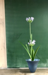 DA87271E-D900-4CB9-8710-045CCC882040.jpeg