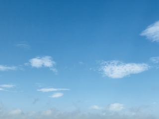 DCD358C5-F876-4FCF-974D-5BFD8A4014F2.jpeg