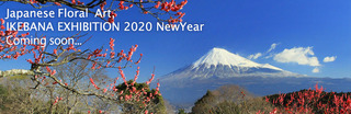 DCF4AD92-86AE-412A-82D3-FAE952B223BC.jpeg