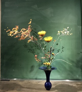 DE5E88EC-89C9-4471-892D-3E66EC4B08D5.jpeg