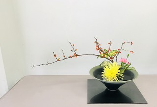 DFF91ED2-F1FD-400C-83F6-39C48BC03107.jpeg