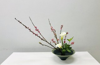 E1E29126-52BE-4137-BC5A-BD52DD202A86.jpeg