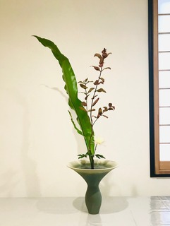 生花新風体.jpg