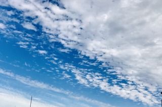 E9189716-5B2D-4B4A-8ADA-1B868811AEC7.jpeg
