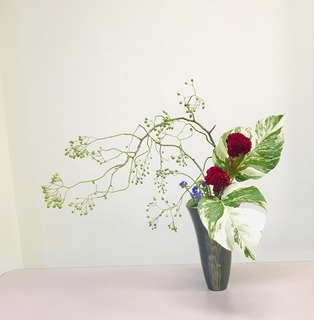ED008BDC-F98F-437C-834E-6104D6D5B75D.jpeg