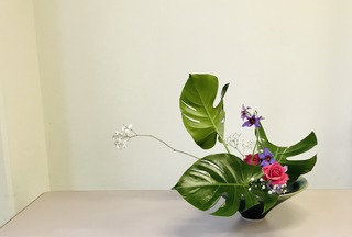EE4593CF-82EB-4787-8448-6FE10B85E190.jpeg