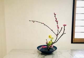 F1895A0B-A182-4BA4-8DC2-87AB0A0E28B1.jpeg