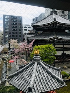 F44719C4-D7F0-4599-B90B-A594D994322D.jpeg
