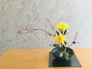 F9E55FAA-63BF-494B-9DB9-D7E6048B266E.jpeg