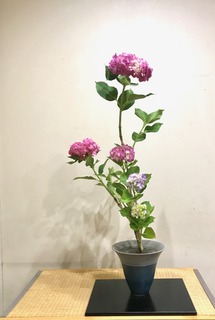 FullSizeRender.jpg