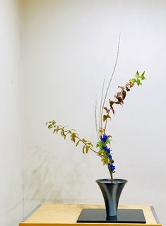 IMG_1313.jpg