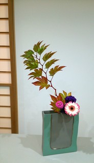 IMG_20161026_222528.jpg