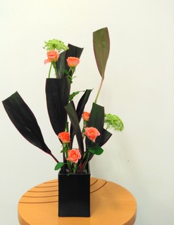 IMG_20180601_171918.jpg