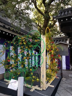 IMG_20191117_101643.jpg