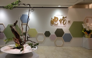 IMG_20191117_114659.jpg