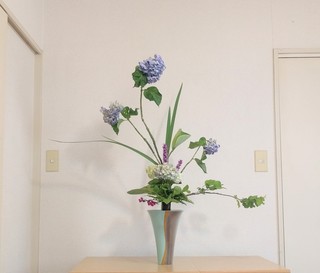 IMG_20200607_160849.jpg