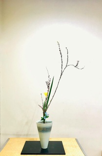 IMG_2640-01.jpeg
